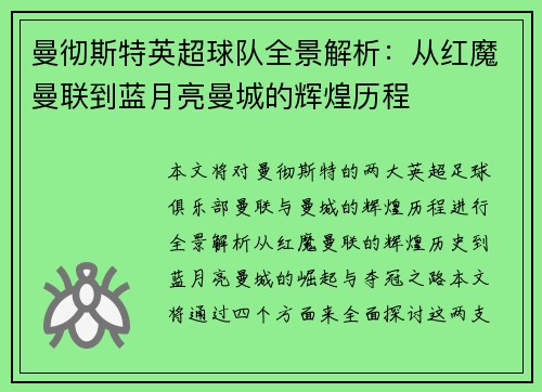 曼彻斯特英超球队全景解析：从红魔曼联到蓝月亮曼城的辉煌历程